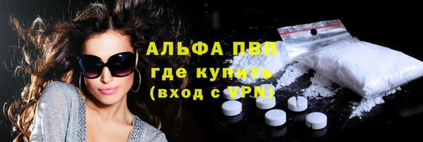 spice Березники