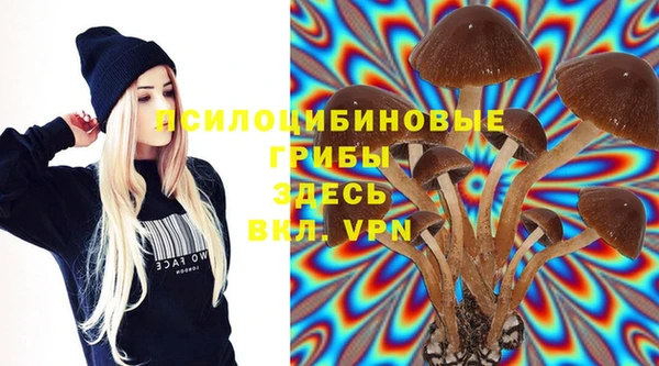 PSILOCYBIN Дмитриев