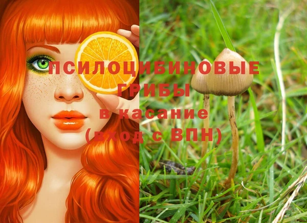 хмурый Новый Уренгой