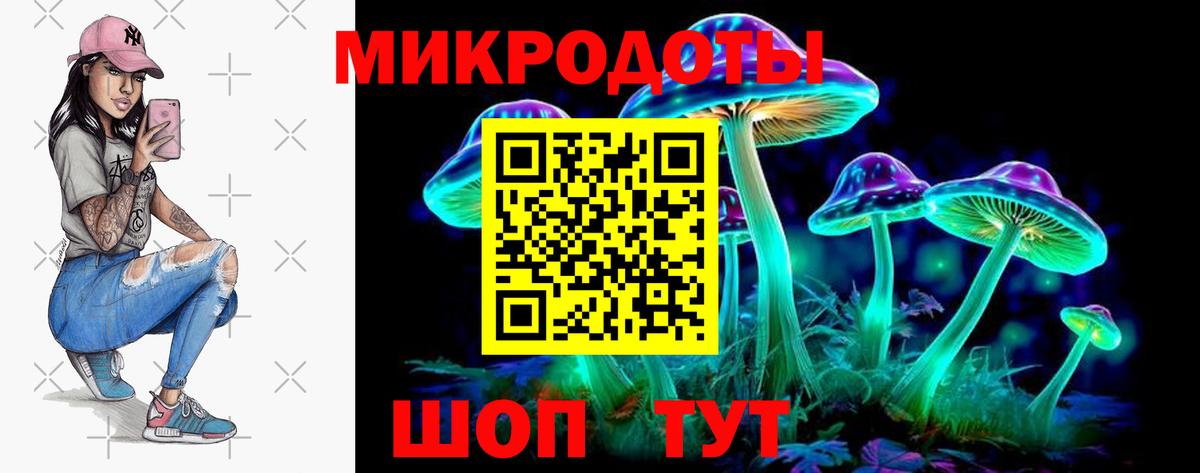 Галлюциногенные грибы мухоморы Кропоткин