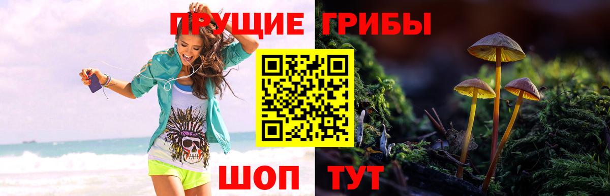 Псилоцибиновые грибы Magic Shrooms  Кропоткин 